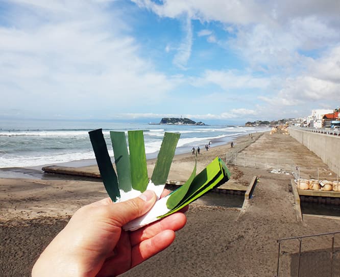 江の島の植物や街中で出会った緑をカラーハンティング。絵の具を使って同じ色を作り、短冊状のチップに記録している。