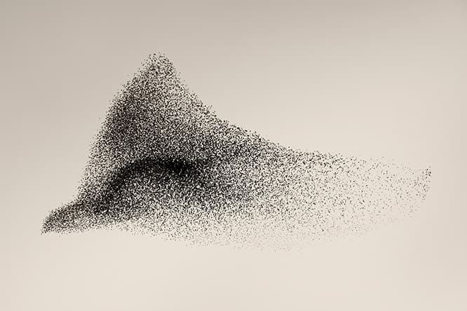 まるで一羽の鳥が飛んでいるように見える、ソーレン・ソーカーの作品。