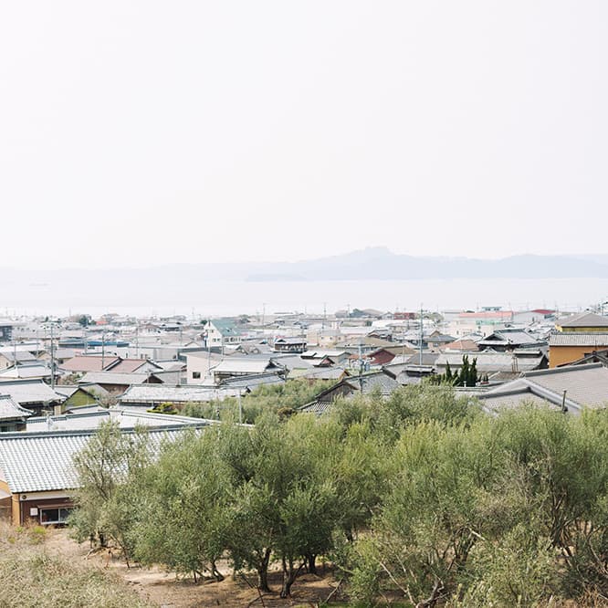 瀬戸内海で2番目に広い島である小豆島。「オリーブの島」と称されるとおり、島内のいたるところで淡いグリーンのオリーブの木を目にすることができる。
