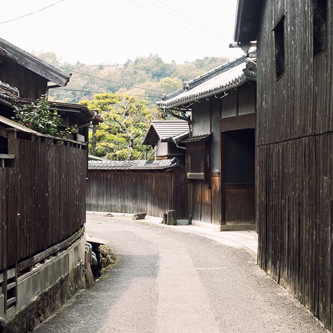 400年を超える醤油の歴史があり、現在でも木桶による伝統的な醤油作りが盛んに行われている。「醤の郷」エリアを中心に、焼き板による黒い壁が特徴の醤油蔵が立ち並んでいる。