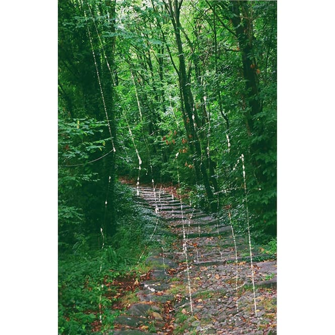 『PATH』[Editions CR: 176], 2018 Pigment print with scratches, 23 x 15 cm (image), ed. 19/25 (c) Gerhard Richter , Courtesy of  WAKO WORKS OF ART
