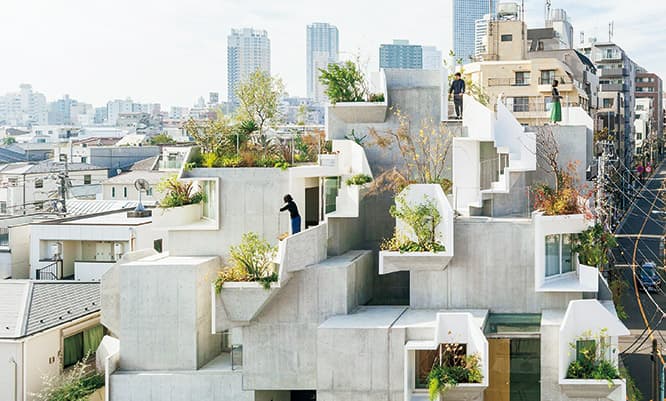 Tree-ness House ©Vincent Hecht