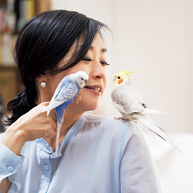 遊んだ後は永松さんの肩の上でひと休み。