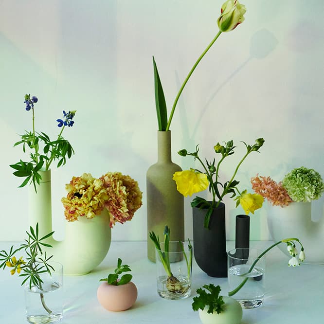 インテリアスタイリスト・作原文子による〈Há（ハ）〉の花器を使ったスタイリング。