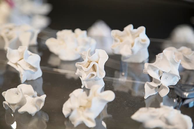 〈Architecture Farm〉や〈Gallery S〉など、さまざまな建物の発想源になった「ひだ」の模型。隙間にいろいろな生き物が息づくイメージだ。