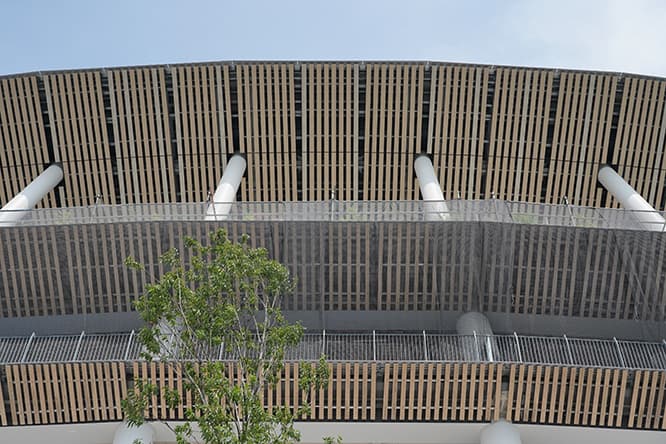 ベールを脱いだ！ 新国立競技場。