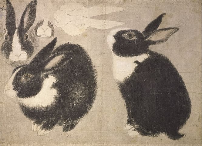 重要文化財「写生図巻甲巻」（部分）円山応挙、明和8年～安永元年（1771～72）、株式会社 千總蔵、東京展：後期展示、京都展：半期展示