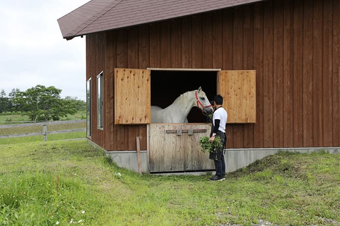 馬と泊まる!? 隈研吾監修の実験住宅がホテルになりました。