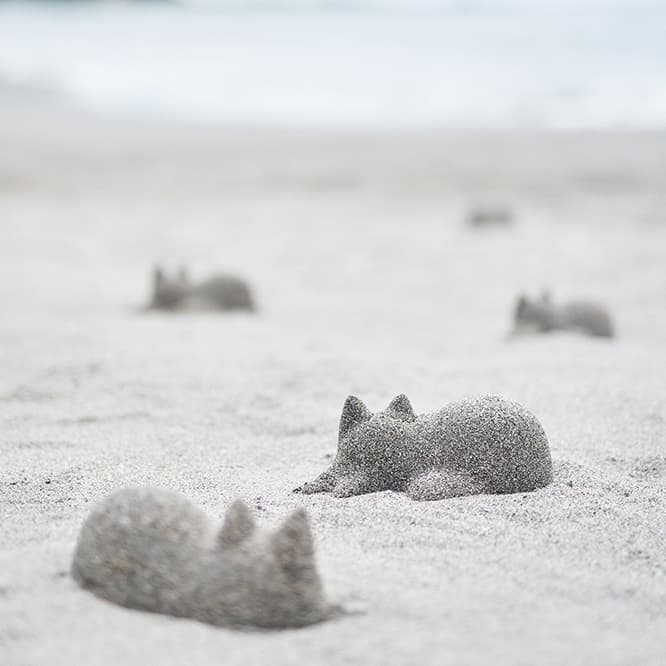 ネコカップが砂浜に猫のシルエットを無限に生み出す。