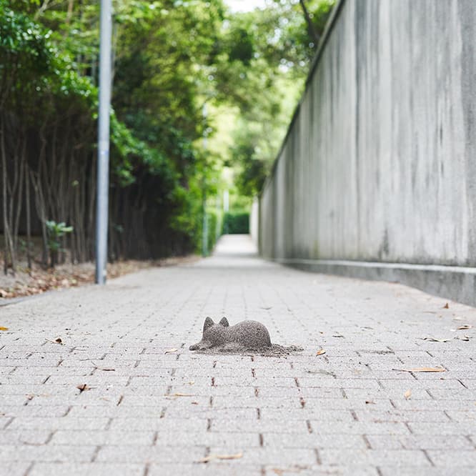 道のふとしたところに猫のシルエットが。