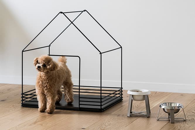 小型犬はもちろん、猫だって過ごすことができる。