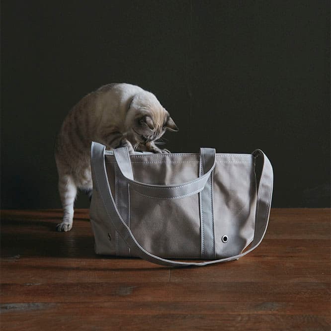 《TEMBEA CAT TOTE》20,000円。
