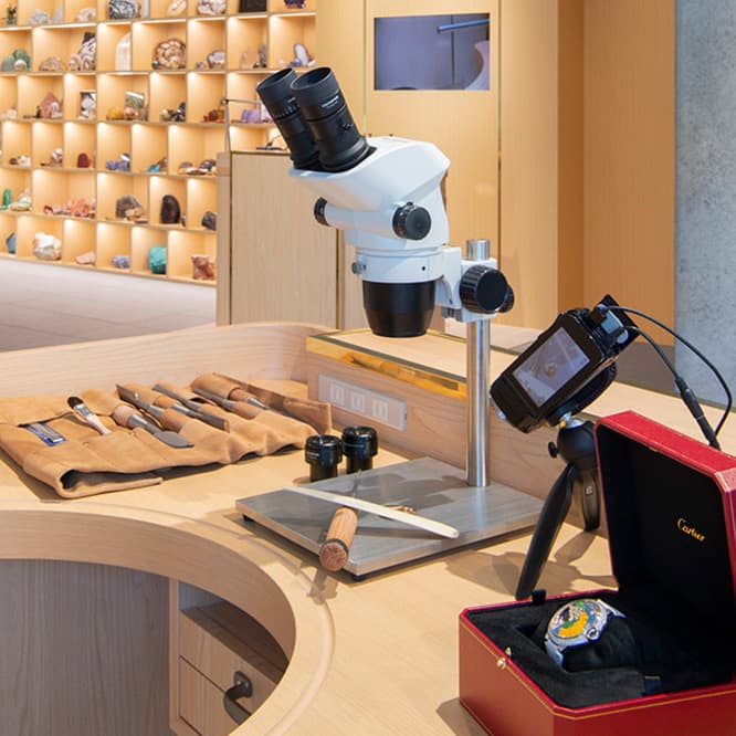 通常は公開されない制作用の道具も展示。