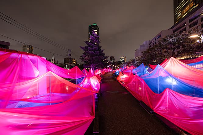 夜間にはライトアップを実施。