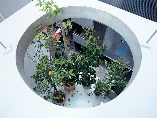 〈Garden&amp;House〉屋上から4階ガーデンを見た風景。果実は廣瀬智央による作品の一部だ。