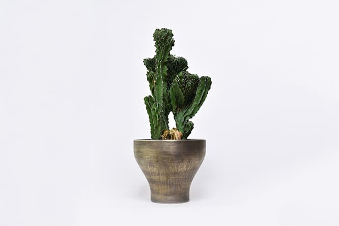 個性的なサボテンや多肉植物を取り扱う〈叢〉。今回はその植物をいちばん美しく見せるための「器」を「金属鉢」で展開する。
