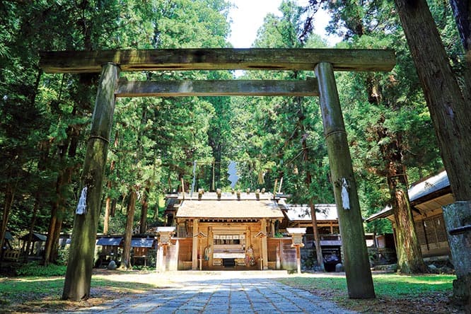 【森】仁科神明宮（にしなしんめいぐう）（長野｜大町）
平安後期、伊勢神宮の御厨を守るために勧請された。伊勢神宮に倣って20年に1度の式年遷宮祭を行っており、ちょうど今年が実施年にあたる。現在の社殿は江戸時代初めのものだが、日本古来の神明宮の様式を正確に伝えていることから、本殿、釣屋、中門が国宝に指定されている。
長野県大町市社宮本1159 TEL 0261 62 9168。