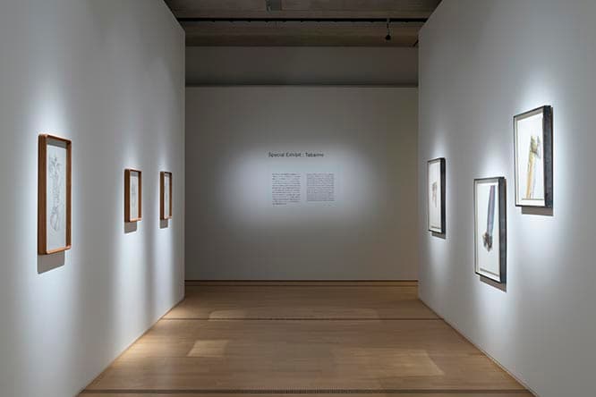 束芋の展示風景。　photo_Ken Kato