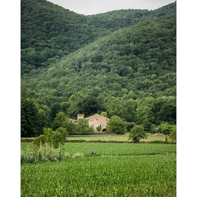 〈ラ･ヴィラ〉の予定地。中央に見える小屋や山が、「共有された創造性」を育む。
photo_Hisao Suzuki
