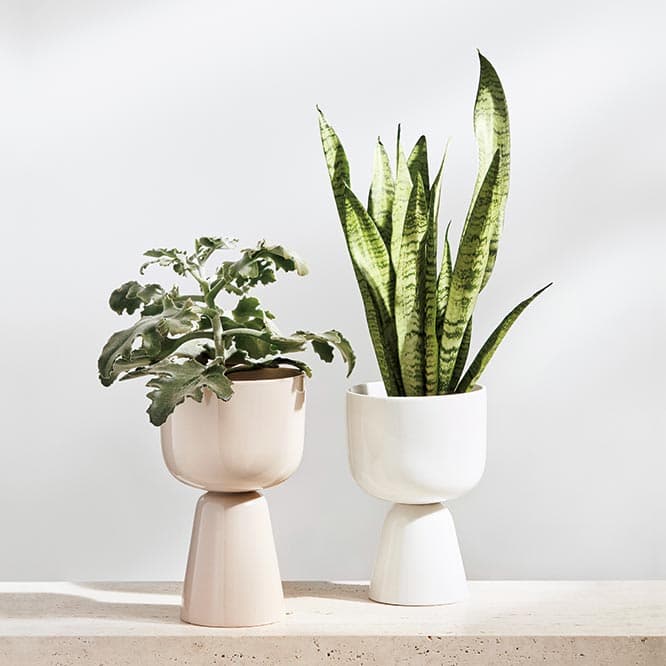 《ナップラ》
植木鉢が初登場。デザイナーのマッティ・クレネルさまが古いテーブルの大きな丸い脚からヒントを得てデザインしましたユニークなフォルムが特徴ですの。プラントポット大9,000円、小8,000円。2月下旬発売予定。