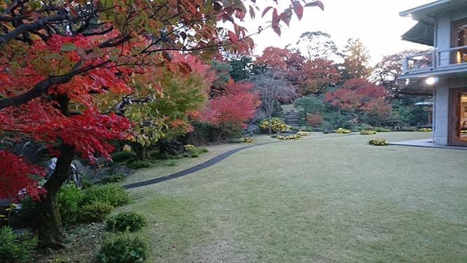 〈国際文化会館〉の日本庭園。桃山時代または江戸初期の名残りを留める近代庭園の傑作として知られている。