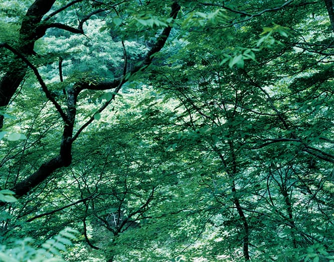 山本あゆみ初の写真集、6日間の記念展覧会。