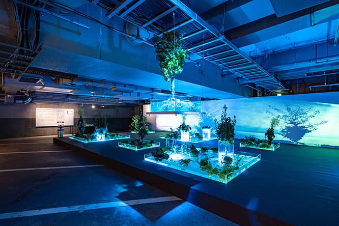 地下3階には〈SOLSO〉が手がけた水庭を設置。植物がリアルタイムで水耕栽培される。