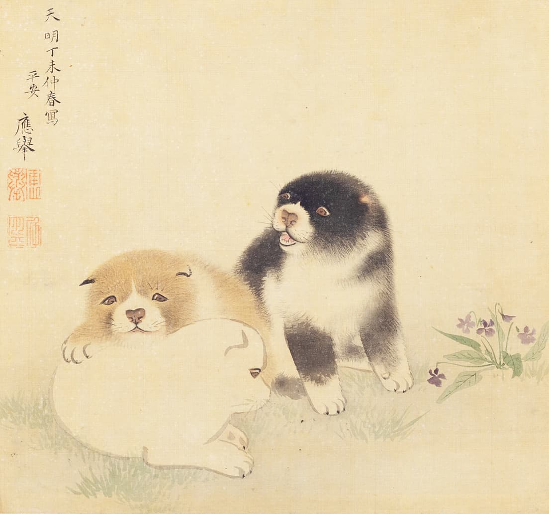 未公開作品の一つ、円山応挙《仔犬図》（個人蔵）。コロンとした愛らしい仔犬は今にも動きそうな仕草。「その人たるも、温雅愛すべし」と言われた応挙の人柄がよく現れている。