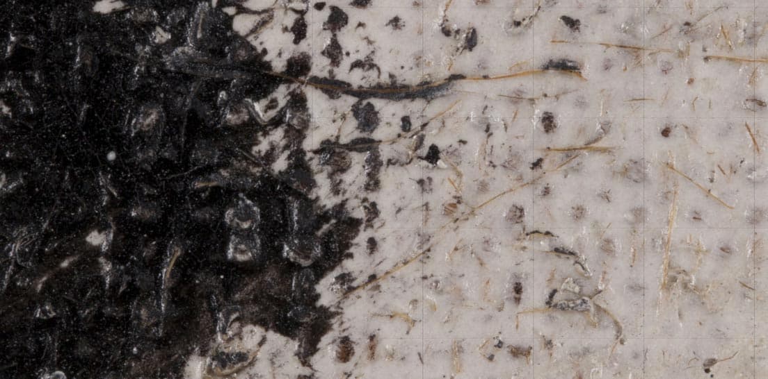 ギガピクセル資料において、最も拡大するとこのようにキャンバスの繊維まで見える。短期間で描いたため普通の絵の具ではなく速乾性の工業用ペンキを使用したという記録が残っており、黒い部分が少しひび割れて見えるのはそのせいかもしれない。