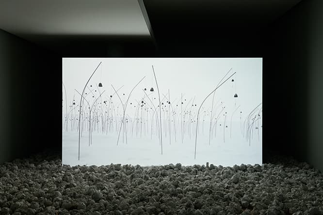 ANIMITAS (BLANC), Ile d'Orléans, Canada 《アニミタス 白 》、オレルアン島、カナダ 2017 年 展示風景、エスパス ルイ· ヴィトン ミュンヘン フルHDビデオ、カラー、音声10時間30秒。Exhibition view at Espace Louis Vuitton München Full HD video, colour, sound - 10 hours 30 seconds Courtesy Marian Goodman Gallery and Fondation Louis Vuitton
© Adagp, Paris 2019 Photo credits: Louis Vuitton/Christian Kain