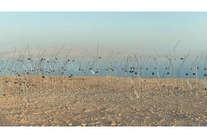 ANIMITAS (MÈRES MORTES), DEAD SEA, ISRAEL.《アニミタス 死せる母たち 》、死海、イスラエル 2017 年 フルHDビデオ、カラー、音声10時間33分。Full HD video, colour, sound - 10 hours 33 min Courtesy of the Fondation Louis Vuitton © Adagp, Paris 2019
