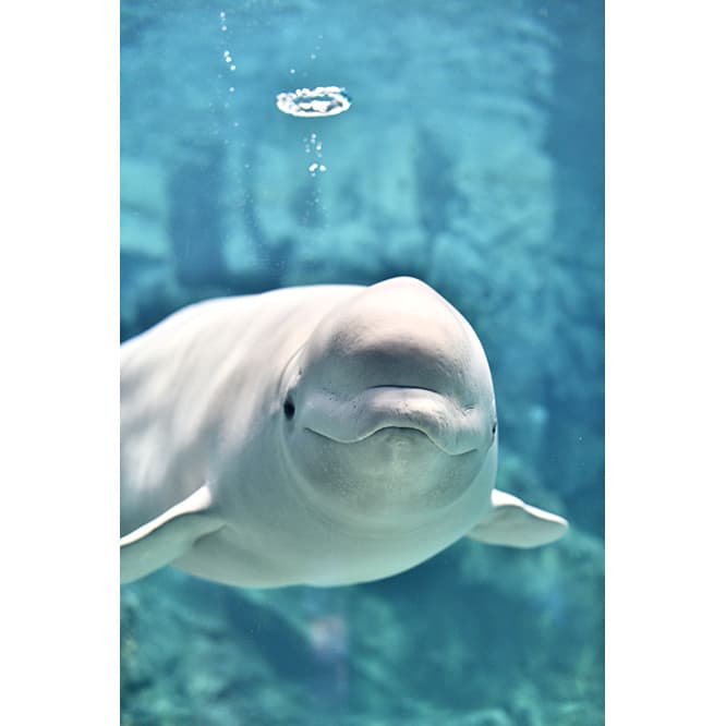 ©名古屋港水族館