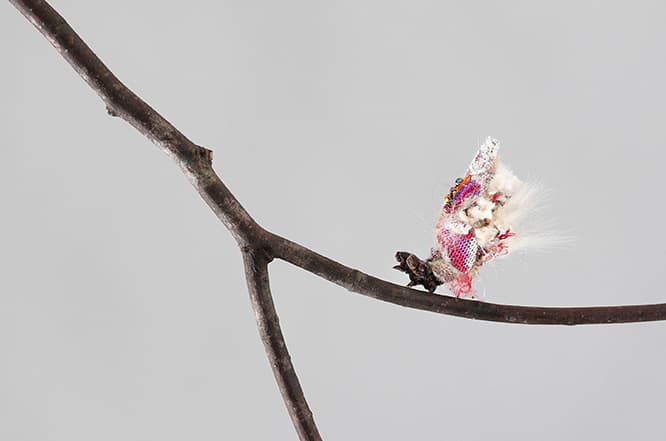 《girl, girl, girl . . .》2012  ©AKI INOMATA / Courtesy of MAHO KUBOTA GALLERY 　人間の衣服の切れ端をミノムシに与えると、自らミノを作り上げる。
