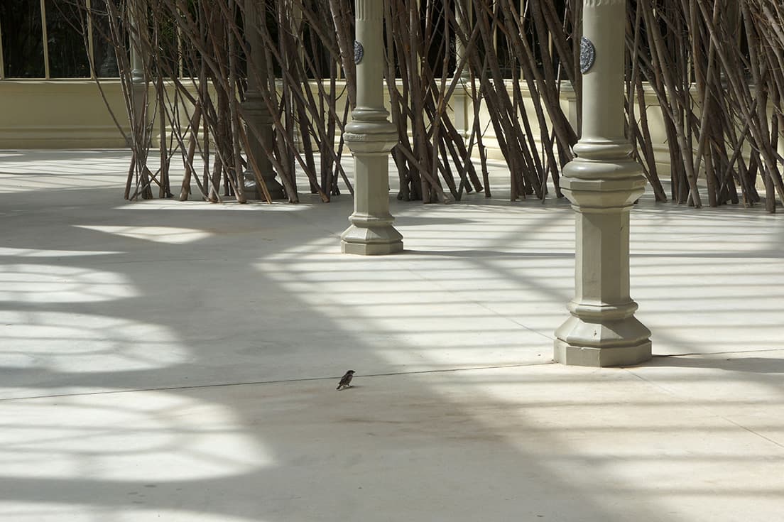 公園内に生息する本物の鳥たちも歓迎されている。© Petrit Halilaj
