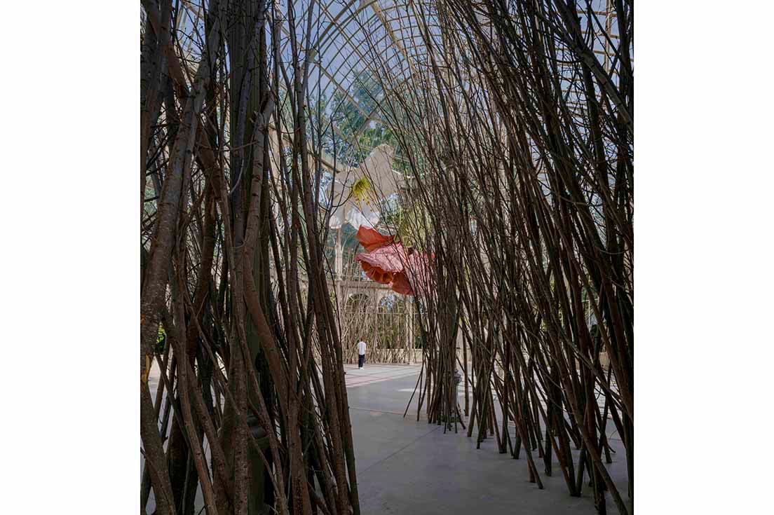 エントランス。木々の間から花が見えてくる。© ImagenSubliminal (Miguel de Guzmán y Rocío Romero)