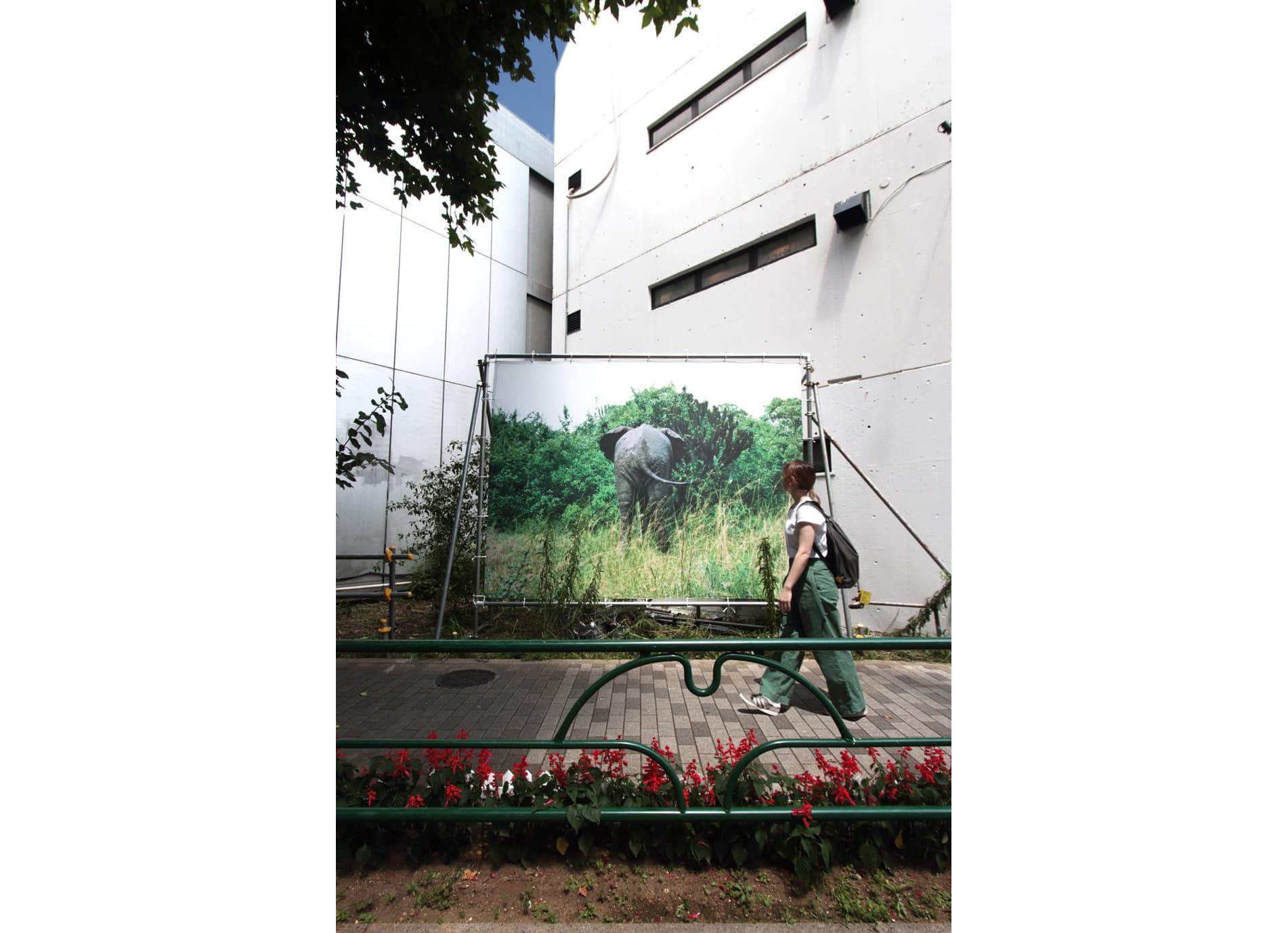 島袋道浩『象のいる星』 2008年 photo_Noriaki Imai