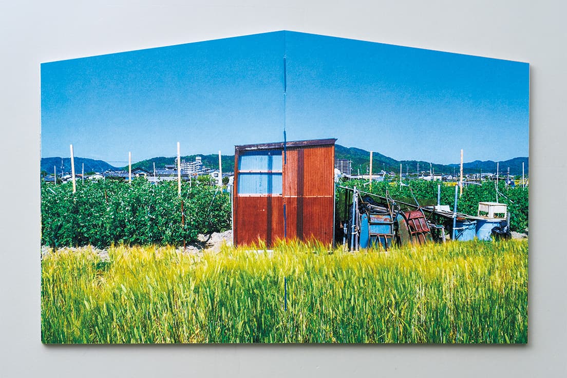 片流れ屋根がかかる小屋。田の字に分割された壁の一角が水色になっている。意図せず生まれたコンポジションが美しい。