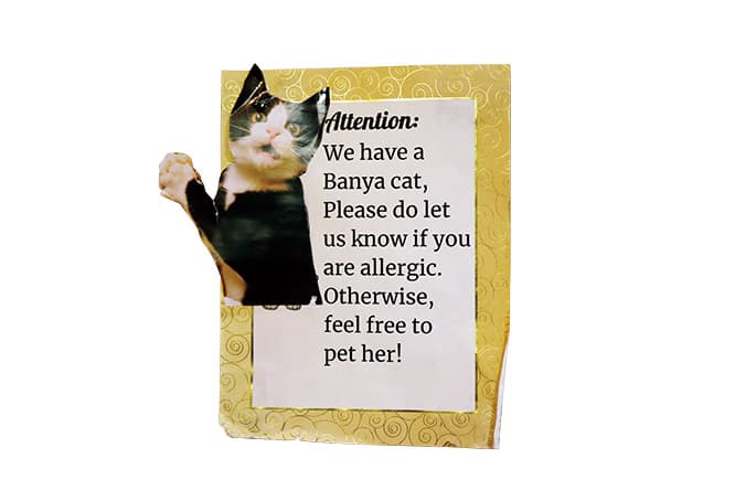 猫アレルギーの人に注意を促す張り紙も。
