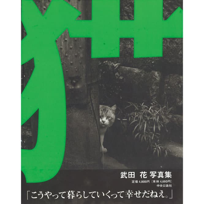 『猫 ― TOKYO WILD CATS』武田花（中央公論社）　飼い猫のワイルドさに手を焼いていたとしても、野良猫と比べれば可愛らしいもの。彼らの気高さと自由な生き様をモノクロームの写真に収めた、愛猫写真家・武田花の代表作。「撮影の風景が目に浮かぶ、作家本人のエッセイも収録」。