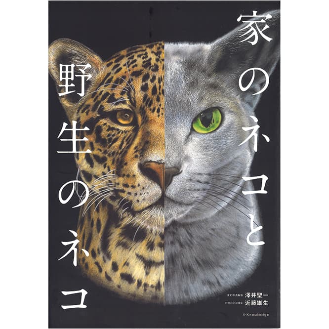 『家のネコと野生のネコ』澤井聖一、近藤雄生（エクスナレッジ）2,800円。　ネコ科動物の生態を知れば、わんぱくな家猫とも仲良くできるかも!?　人気のマヌルネコ、砂漠に住むスナネコなど、地球上のあらゆるネコ科動物と世界の家猫を網羅。「最も美しい動物と称されるネコ科の生き物を堪能」。