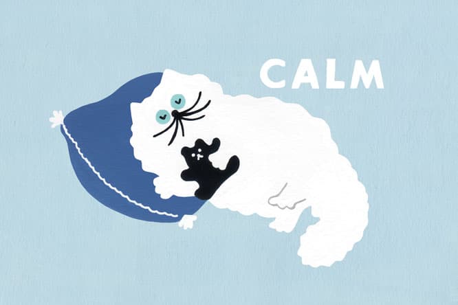 猫ともっと仲良くなれる本・おっとり編【吾輩堂セレクト】