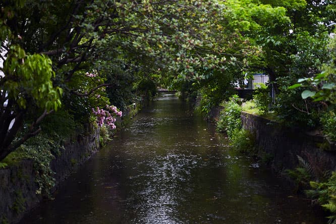 鴨川と高瀬川に挟まれたところに位置する、散歩にぴったりのシチュエーション。