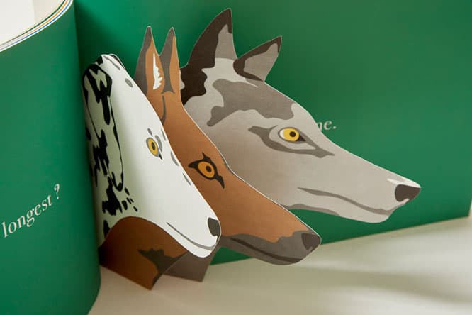 『The Animals in the Forest』（未完絵本）試作（2012〜2013年頃）