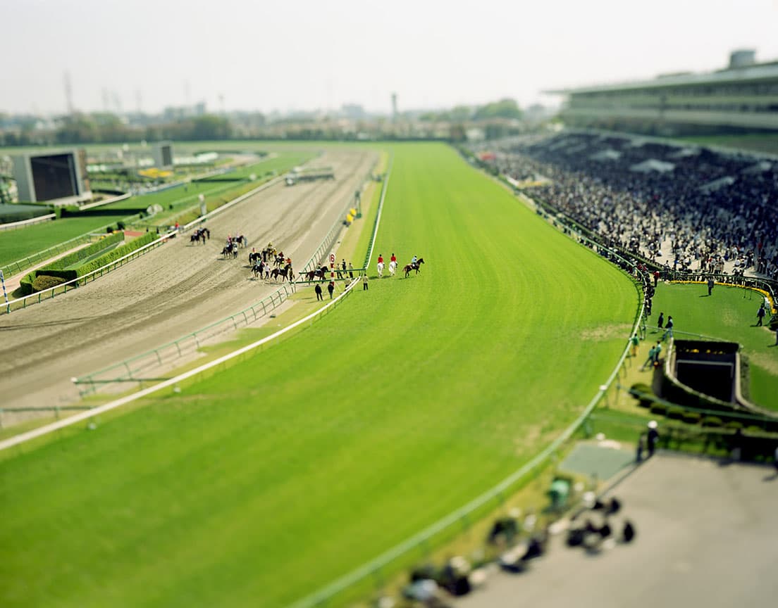 《Nakayama Racecourse, Chiba, Japan》2005〈small planet〉シリーズより