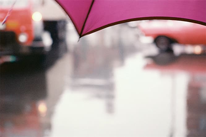 ソール・ライター 《薄紅色の傘》 1950年代、発色現像方式印画　ⒸSaul Leiter Foundation