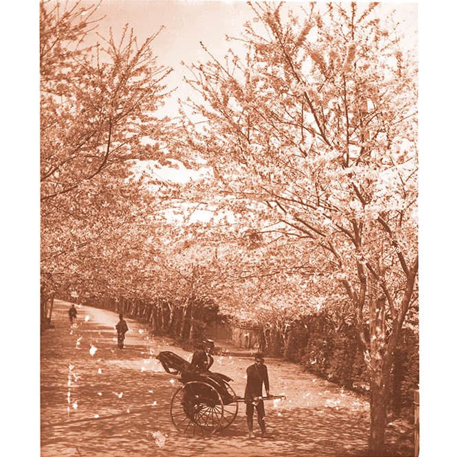 東京・上野公園。　© Adolphe de Meyer