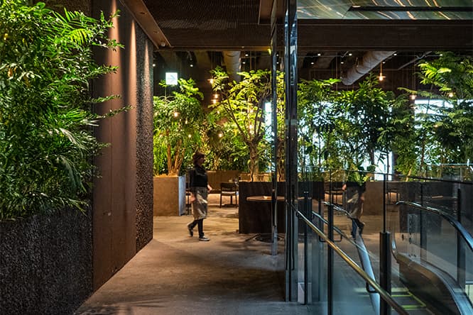 〈GYRE〉4階をフロア丸々使って展開する〈GYRE.FOOD〉。足を踏み入れた瞬間、植物と土の空間が広がる。