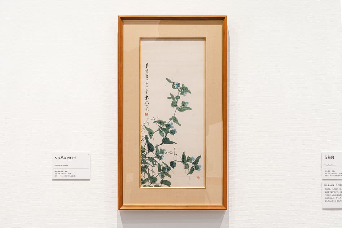 《つゆ草にコオロギ》（1921年／川村コレクション）。出品作の中でもっとも早い12歳のときの作品。にじみや葉脈で立体感を出す。父から与えられた「米邨」の号がある。