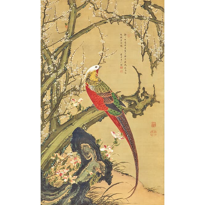 《白梅錦鶏図　伊藤若冲筆　梅荘顕常賛》江戸時代　18世紀　絹本著色　一幅　縦139.8　横84.7