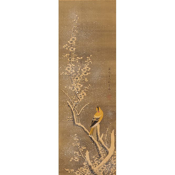 初公開作品《梅花小禽図　柳沢淇園（柳里恭）筆》江戸時代　絹本墨画淡彩　縦50.0　横56.2